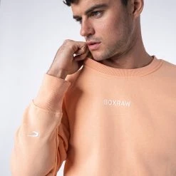 BOXRAW Men New Releases Johnson Sweatshirt - Salmon